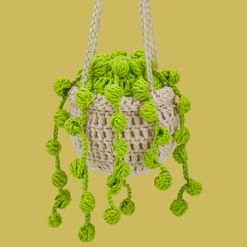 Bean Plant Crochet Kit