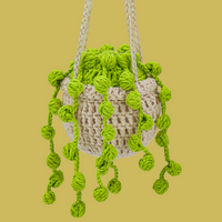 Bean Plant Crochet Kit