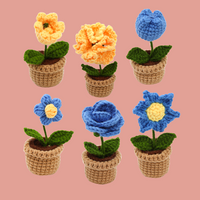 Pot Flower Crochet Kit Bundles