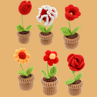 Pot Flower Crochet Kit Bundles