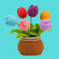 Tulip Crochet Kits