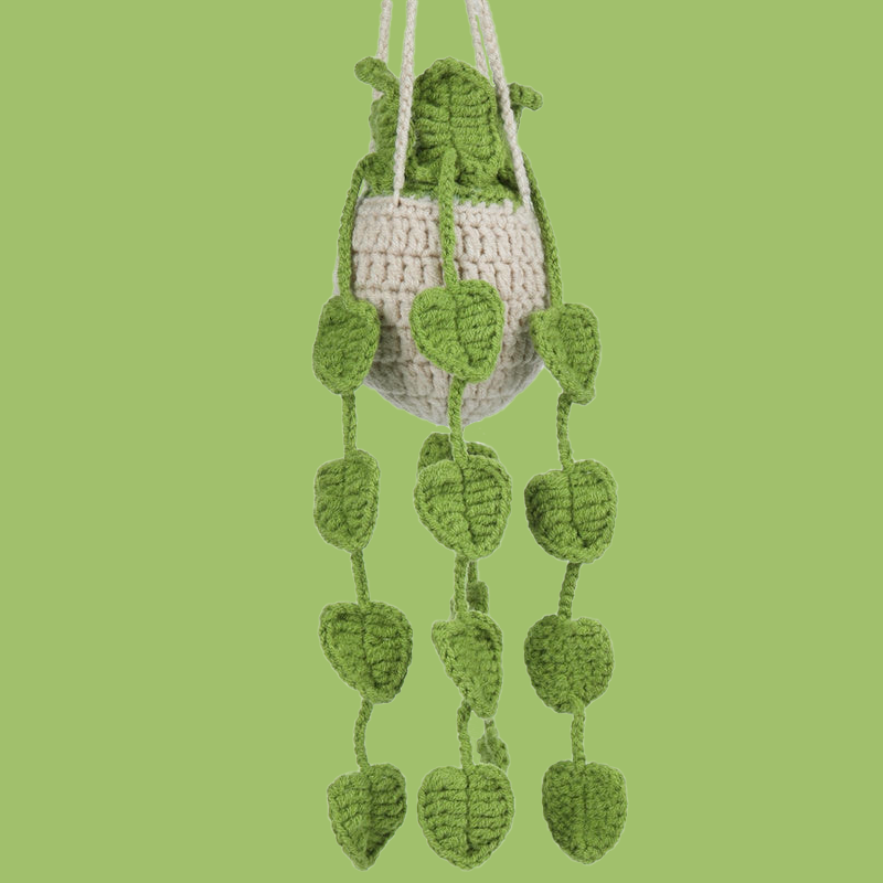 Hanging Plant Crochet Kits