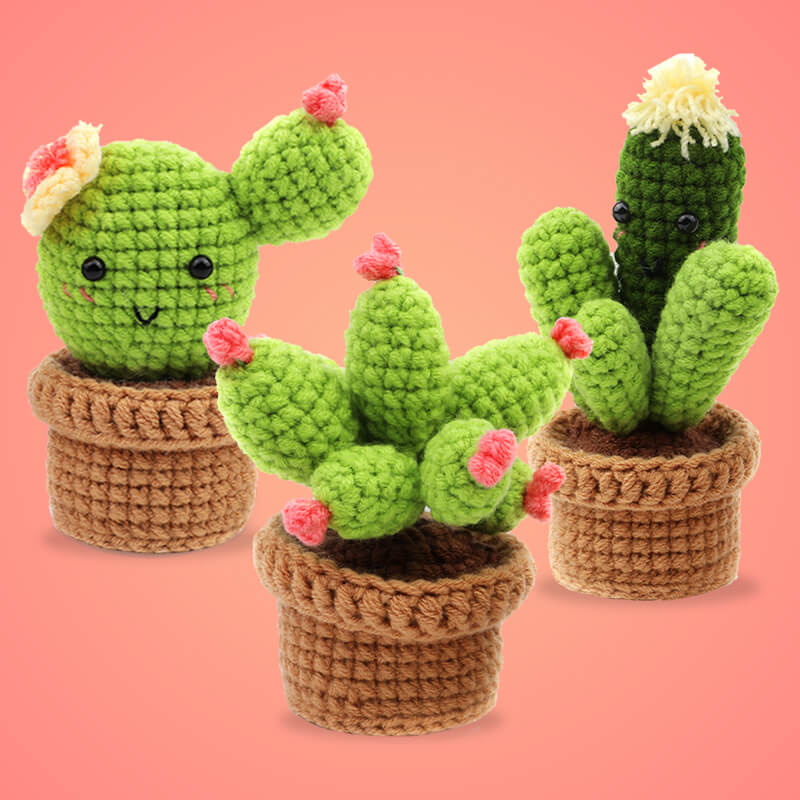 Cactus Plant Crochet Kit Bundles