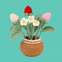 Strawberry Crochet Kits