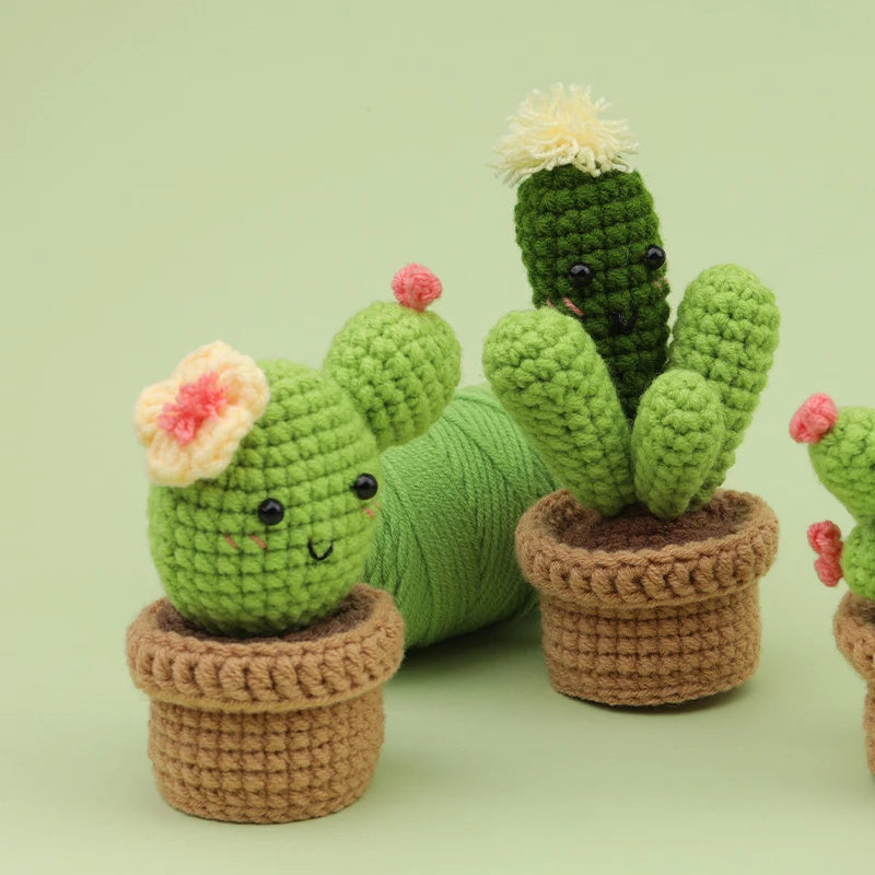 Cactus Plant Crochet Kit Bundles