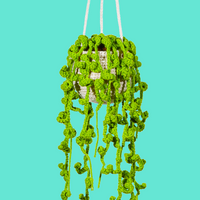 Hanging Plant Crochet Kit