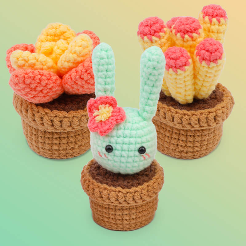 Cactus Plant Crochet Kit Bundles