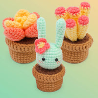 Cactus Plant Crochet Kit Bundles