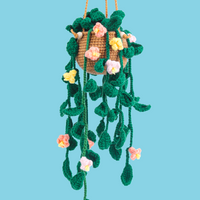 Hanging Plant Crochet Kit