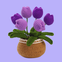 Tulip Crochet Kits