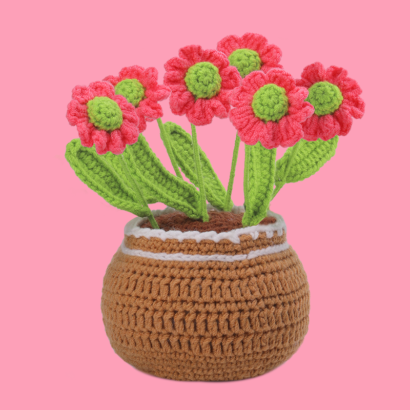 Daisy Crochet Kits