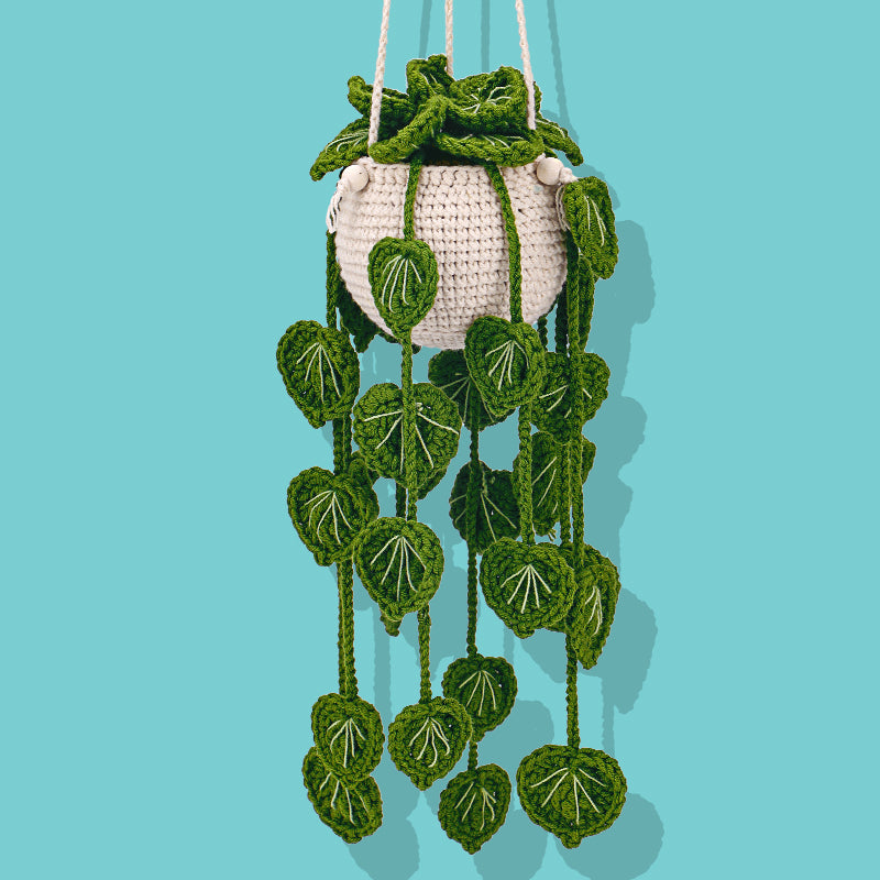 Hanging Plant Crochet Kit