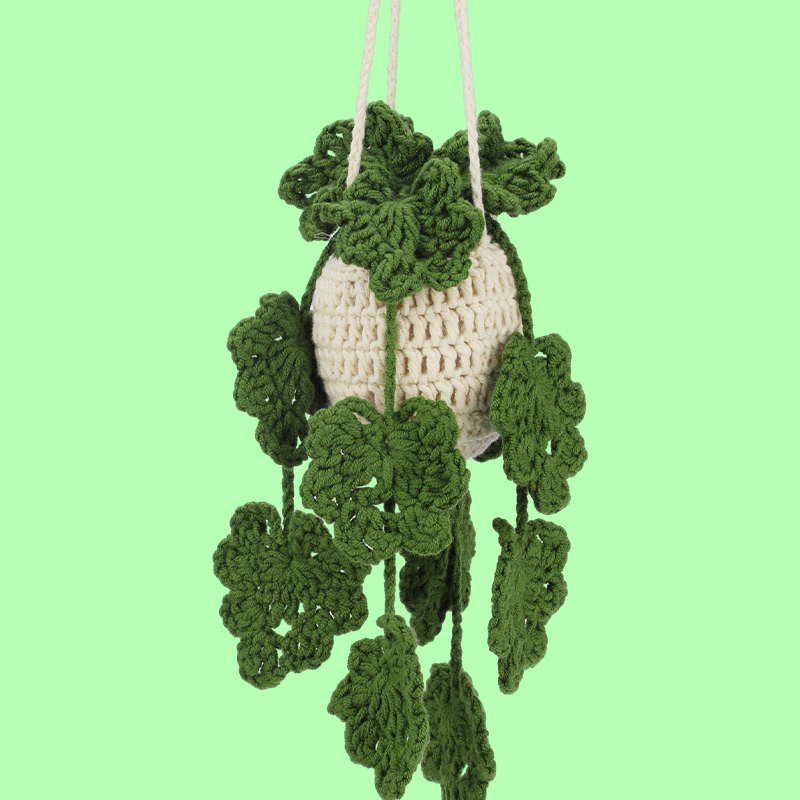 Hanging Plant Crochet Kit