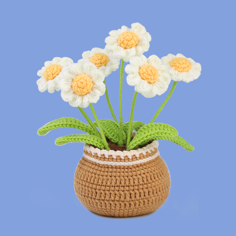 Daisy Crochet Kits