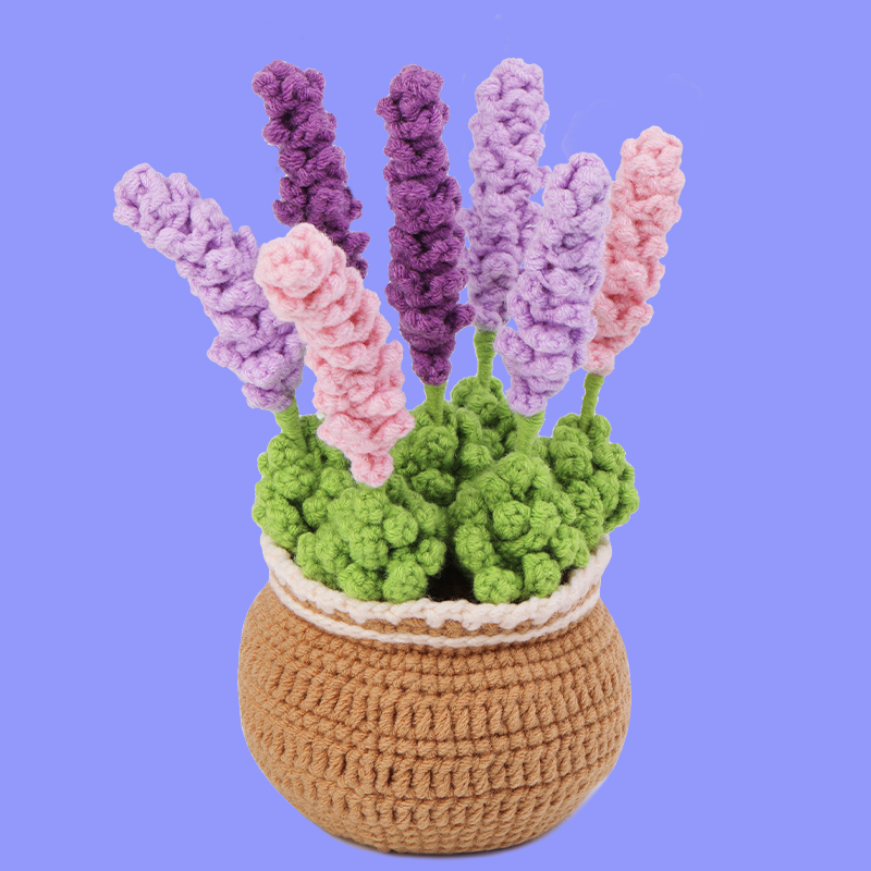 Plant Crochet Kits