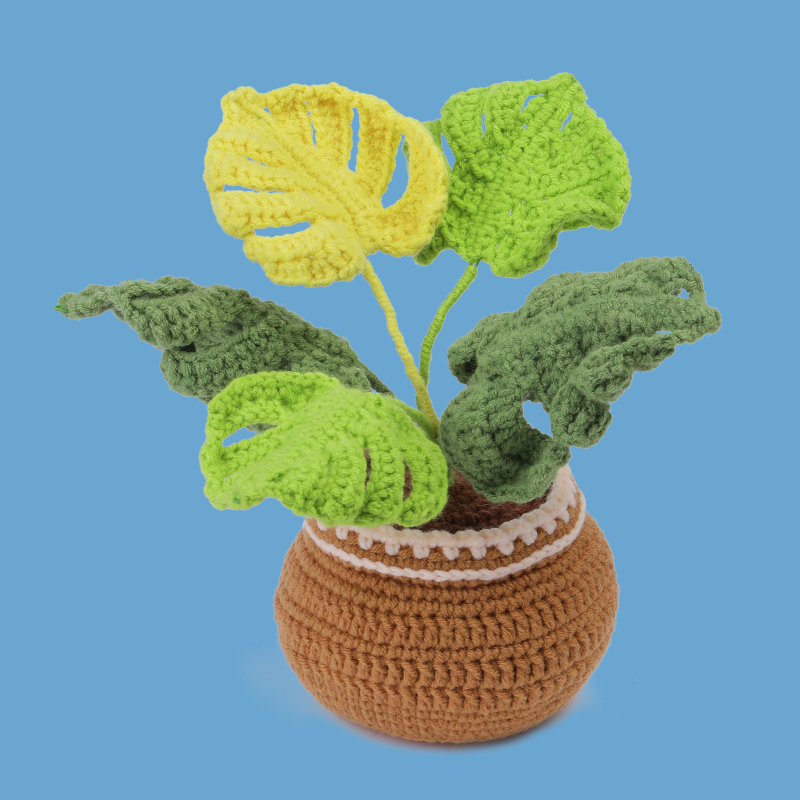 Plant Crochet Kits