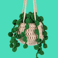 Bean Plant Crochet Kit