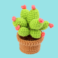 Succulent Cactus Crochet Kits