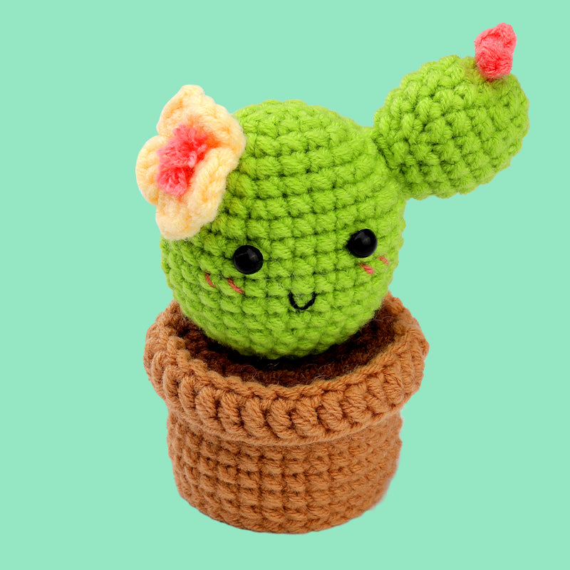 Succulent Cactus Crochet Kits