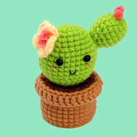 Succulent Cactus Crochet Kits