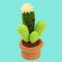 Succulent Cactus Crochet Kits