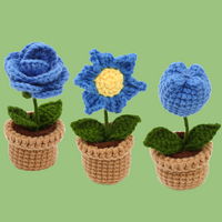 Pot Flower Crochet Kit Bundles