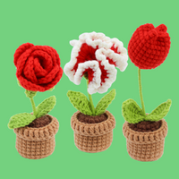 Pot Flower Crochet Kit Bundles