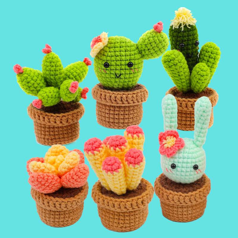 Cactus Plant Crochet Kit Bundles